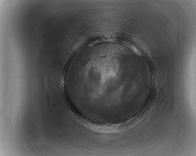 X0000116800032200912241210