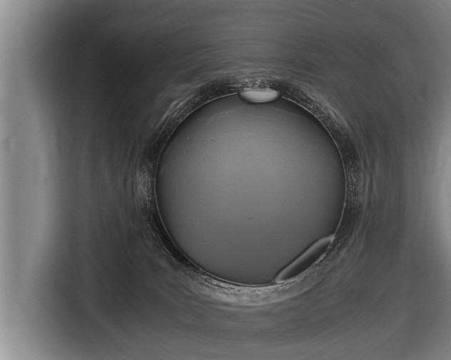 X0000116800035200912241210