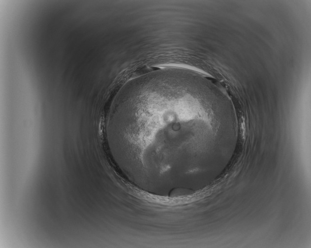 X0000116800038200912241210