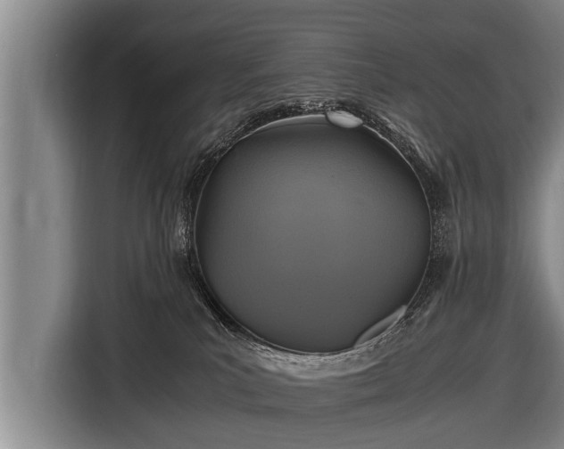 X0000116800039200912241210