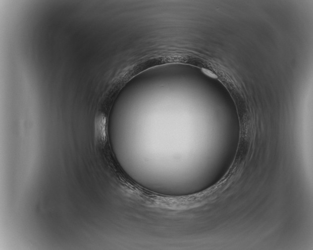 X0000116800041200912241210