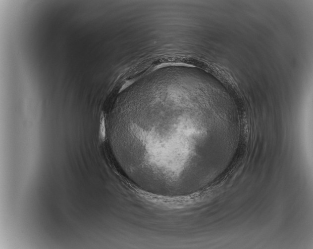 X0000116800042200912241210