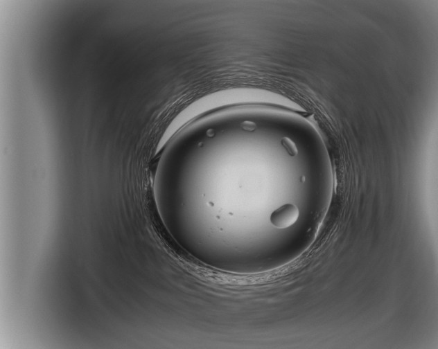 X0000116800043200912241210