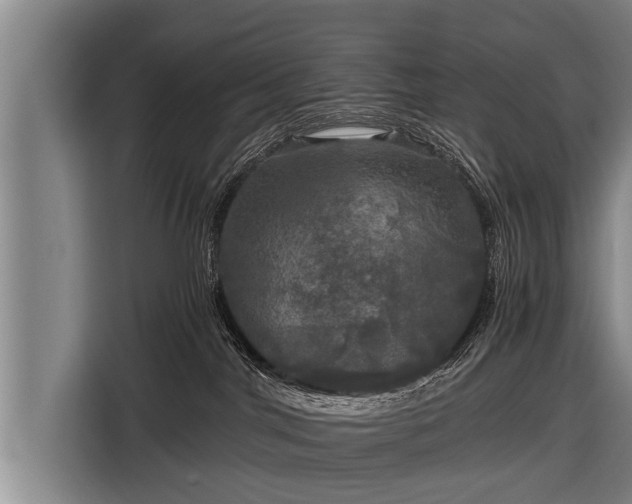 X0000116800044200912241210