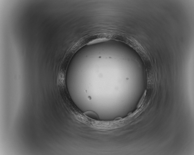 X0000116800045200912241210