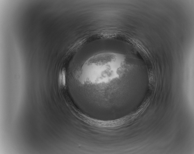 X0000116800046200912241210