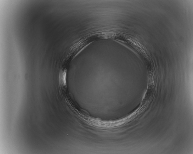 X0000116800047200912241210