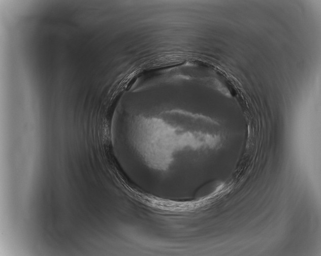 X0000116800048200912241210