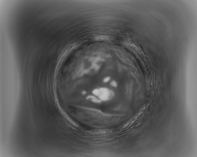 X0000116800049200912241209