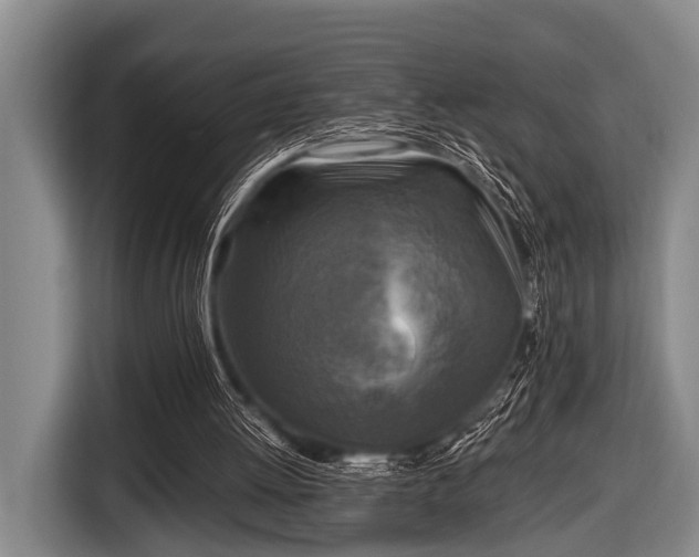 X0000116800052200912241209