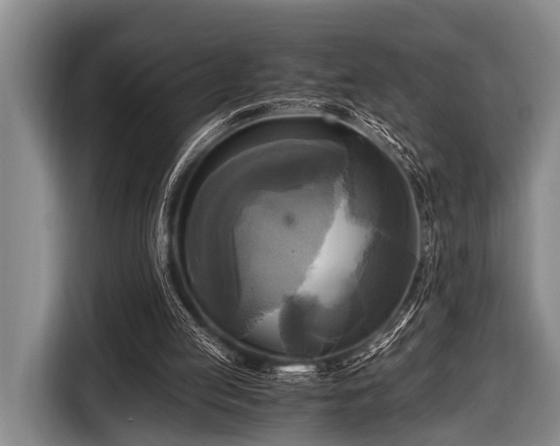 X0000116800053200912241209