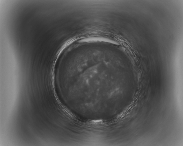 X0000116800054200912241209