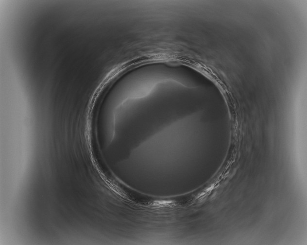 X0000116800055200912241209