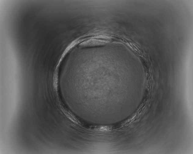 X0000116800056200912241209