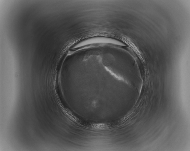 X0000116800058200912241209