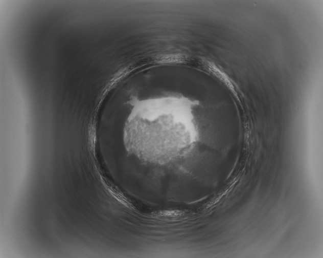 X0000116800059200912241209