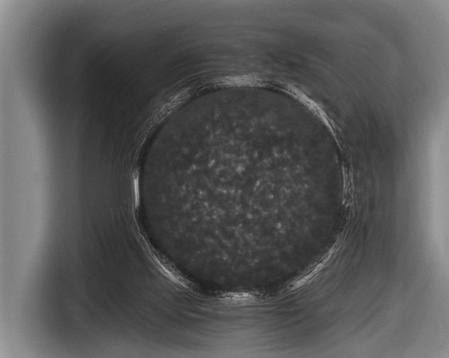 X0000116800061200912241209