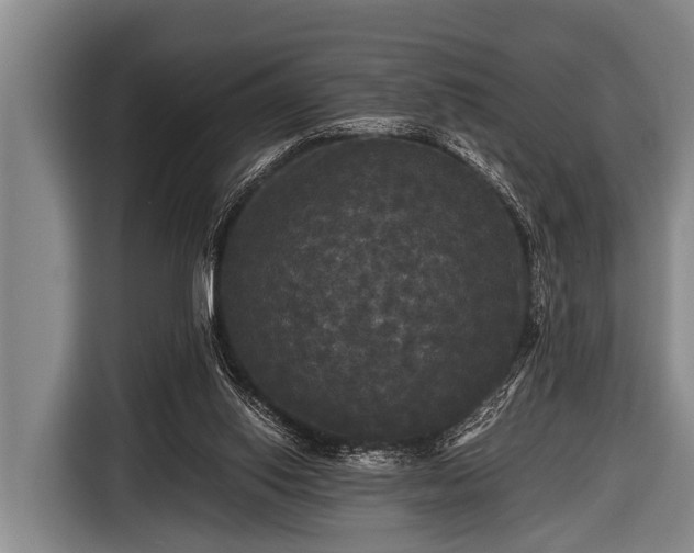 X0000116800062200912241209