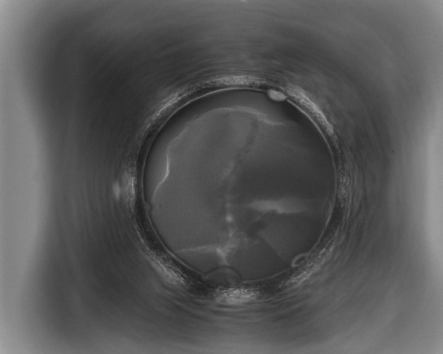 X0000116800063200912241209