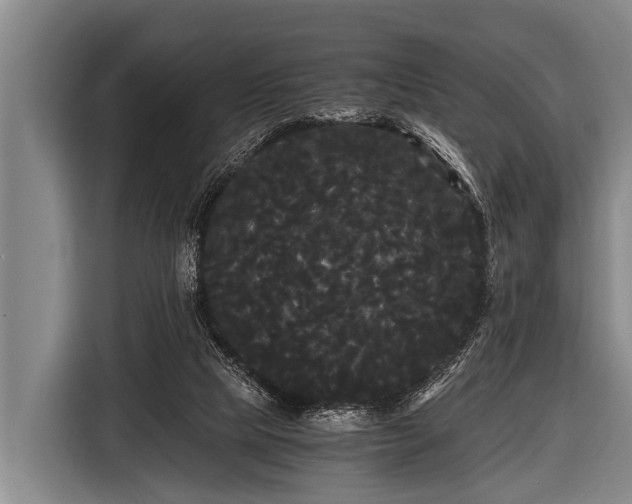 X0000116800065200912241209