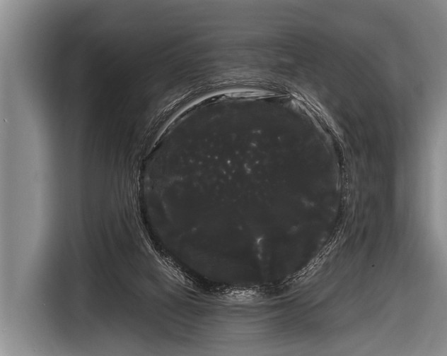 X0000116800066200912241209