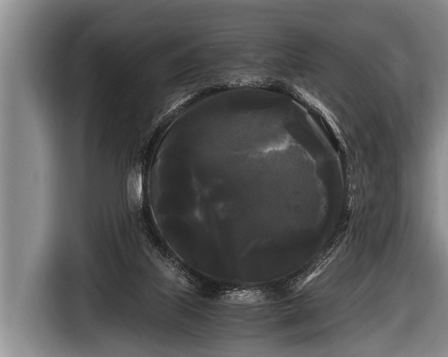 X0000116800067200912241209