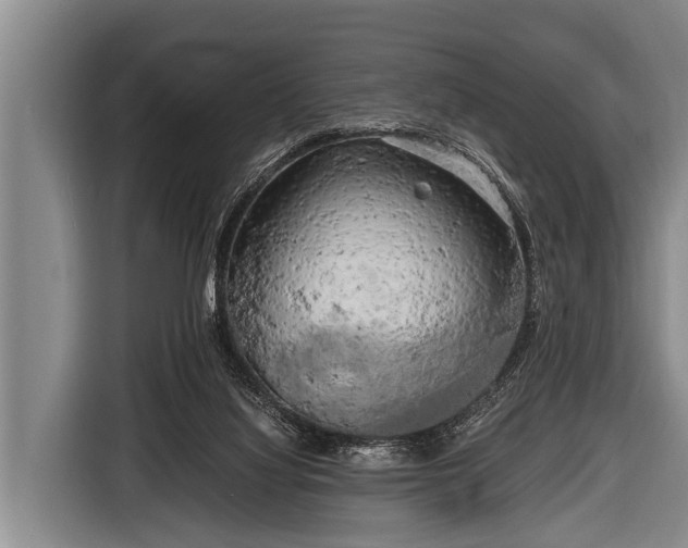 X0000116800068200912241209