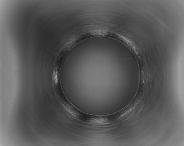 X0000116800069200912241209