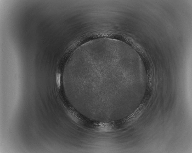 X0000116800070200912241209