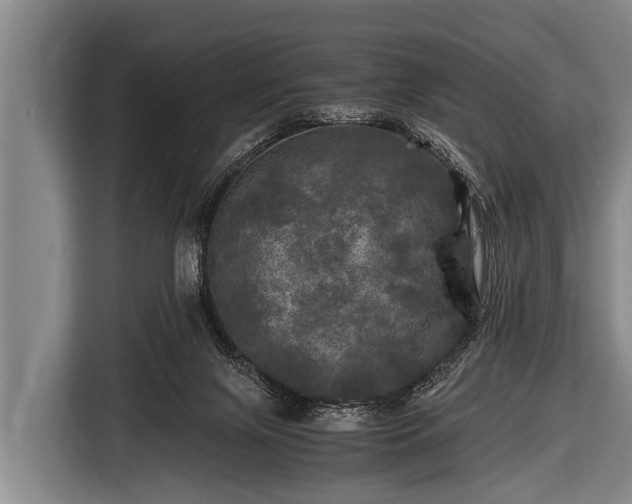 X0000116800071200912241209