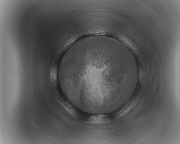 X0000116800072200912241209