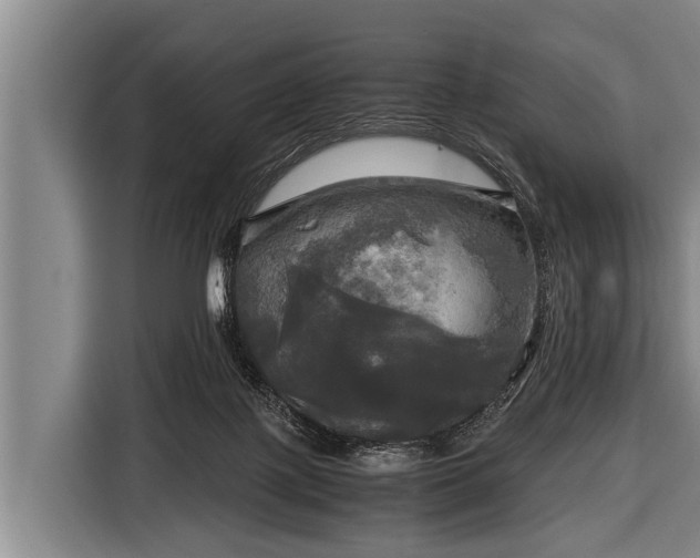 X0000116800075200912241209