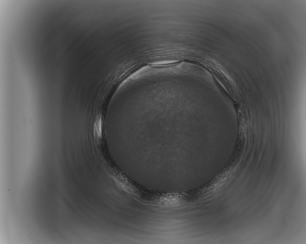 X0000116800076200912241209