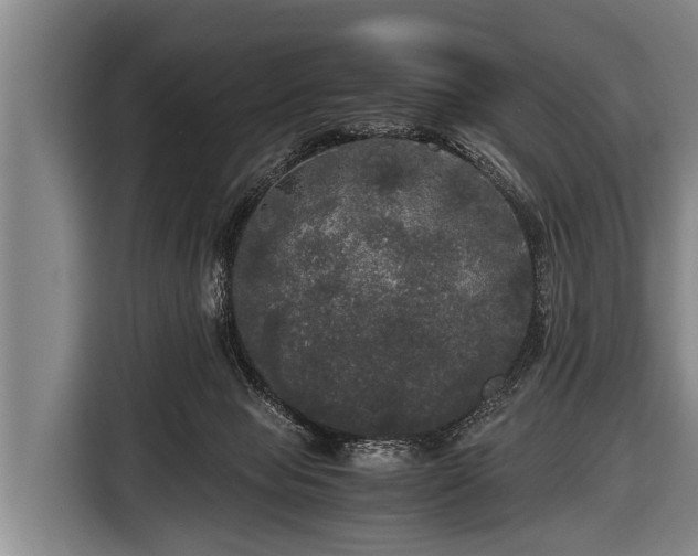 X0000116800077200912241209