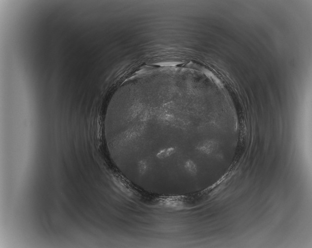 X0000116800078200912241209