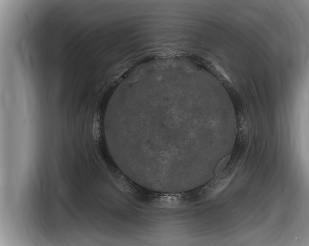 X0000116800080200912241209