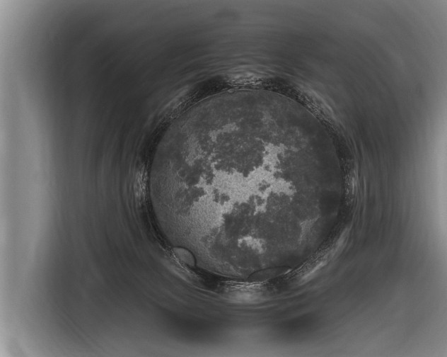 X0000116800081200912241209