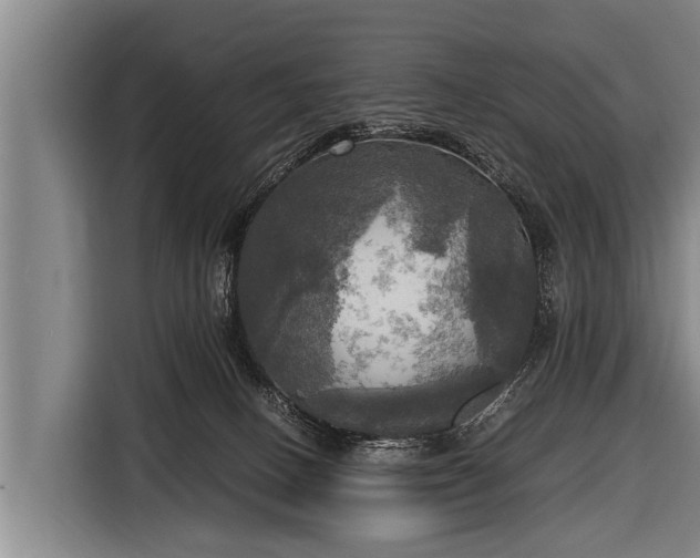 X0000116800082200912241209