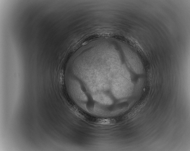 X0000116800083200912241209