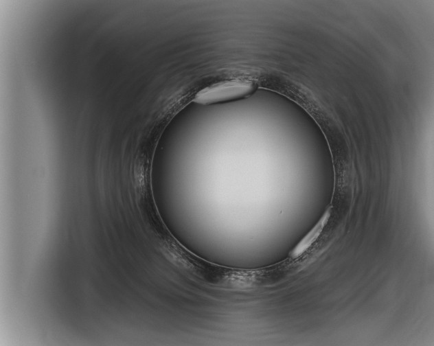 X0000116800084200912241209