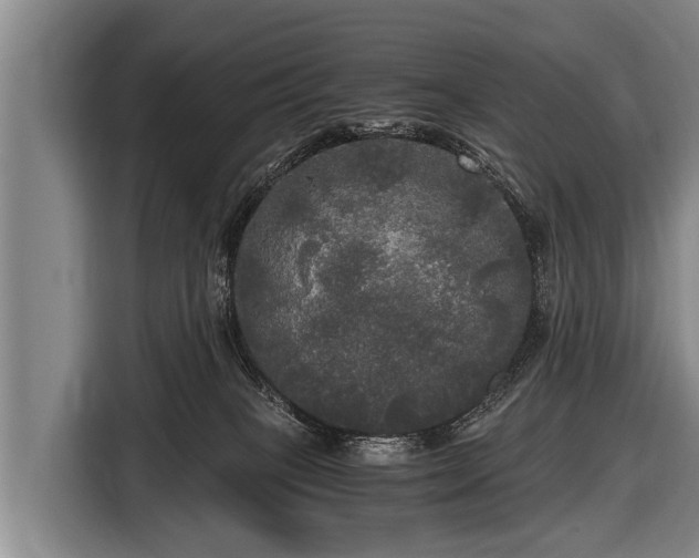 X0000116800085200912241209