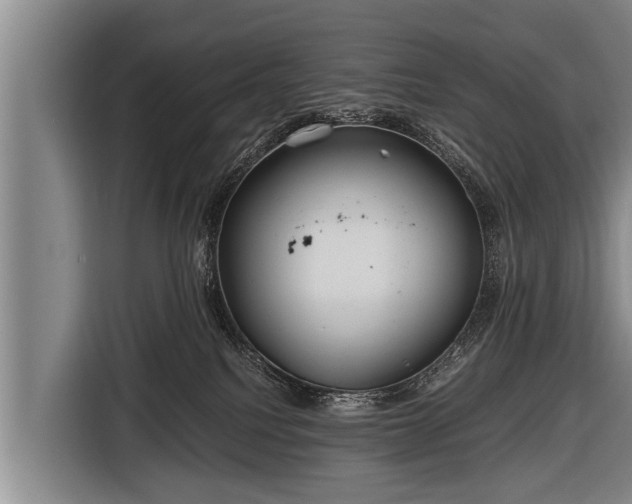 X0000116800088200912241210