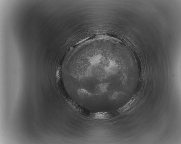 X0000116800090200912241210