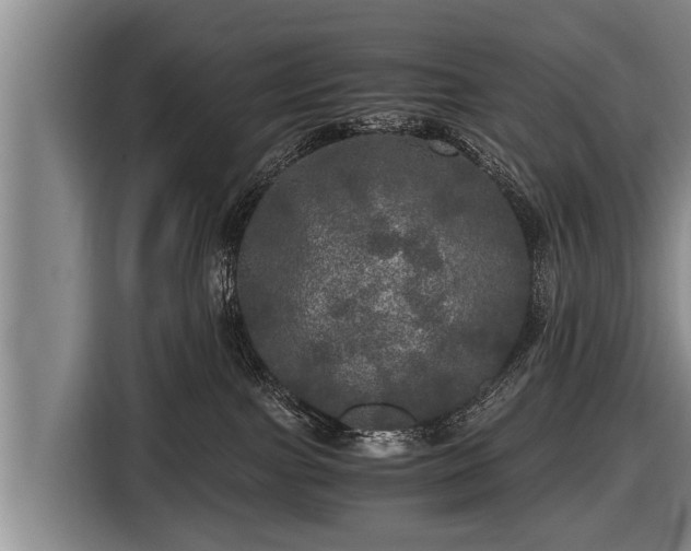 X0000116800091200912241210