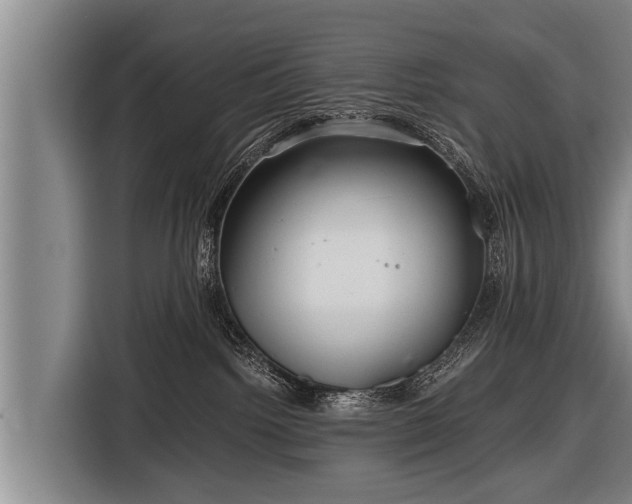 X0000116800092200912241210