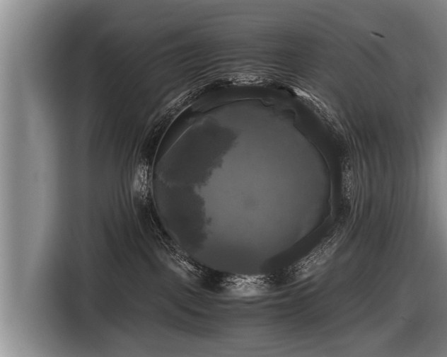 X0000116800093200912241210