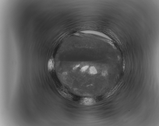 X0000116800095200912241210