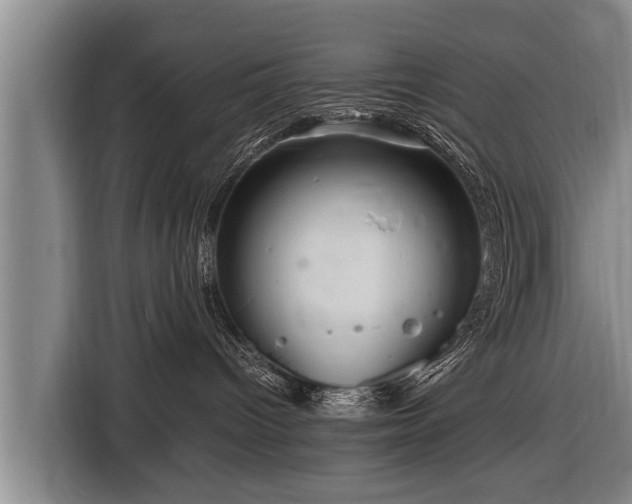 X0000116800096200912241210