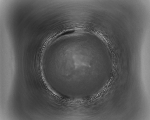 X0000116800097200912241209