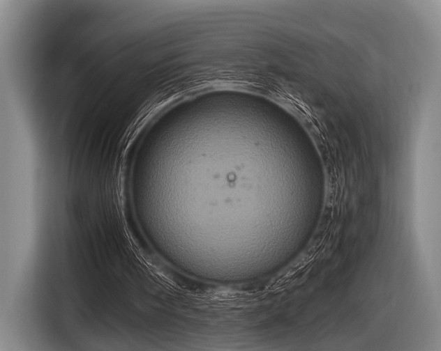 X0000116800098200912241209